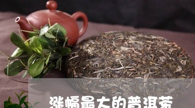 涨幅最大的普洱茶/2023041378371