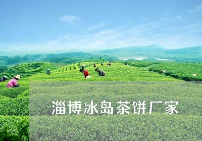 淄博冰岛茶饼厂家/2023032803959