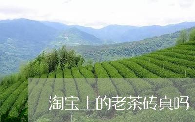 淘宝上的老茶砖真吗/2023041699624