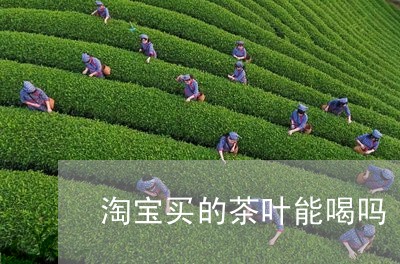 淘宝买的茶叶能喝吗/2023032260483