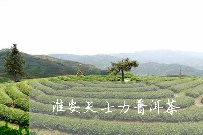 淮安天士力普洱茶/2023041027260