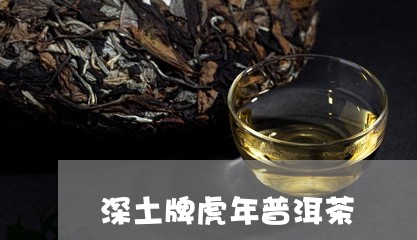 深土牌虎年普洱茶/2023041362626