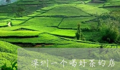 深圳一个喝好茶的店/2023032155715