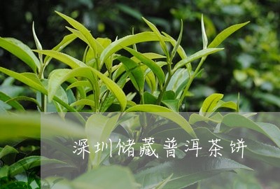 深圳储藏普洱茶饼/2023041268381