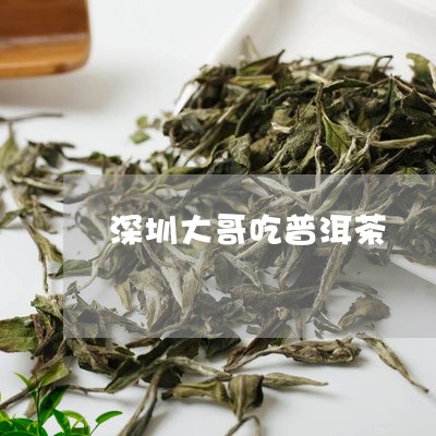 深圳大哥吃普洱茶/2023040979272