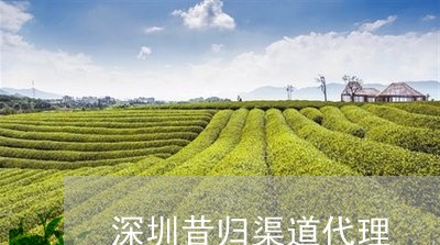 深圳昔归渠道代理/2023032296158