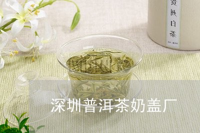 深圳普洱茶奶盖厂/2023031899472