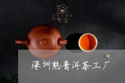 深圳熟普洱茶工厂/2023031666169