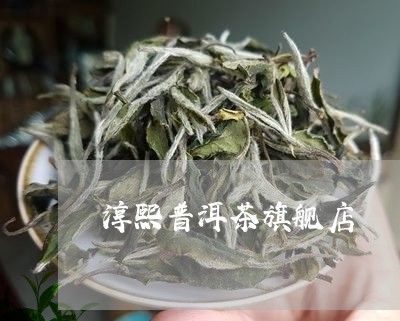 淳熙普洱茶旗舰店/2023033120615