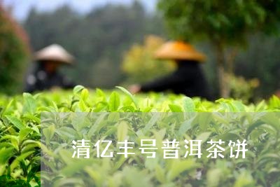 清亿丰号普洱茶饼/2023033134816