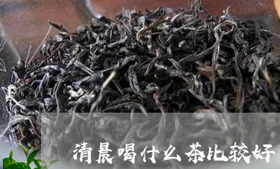 清晨喝什么茶比较好/2023041647381