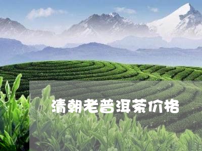 清朝老普洱茶价格/2023041016280