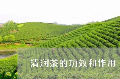 清润茶的功效和作用/2023032116484