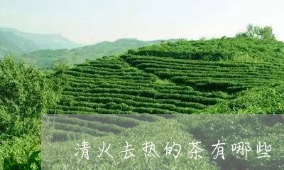 清火去热的茶有哪些/2023031965149