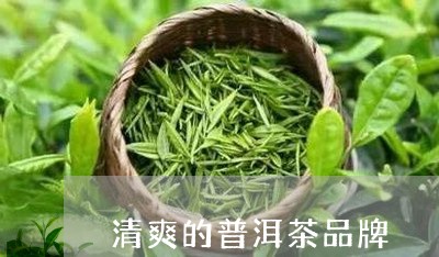 清爽的普洱茶品牌/2023041363747