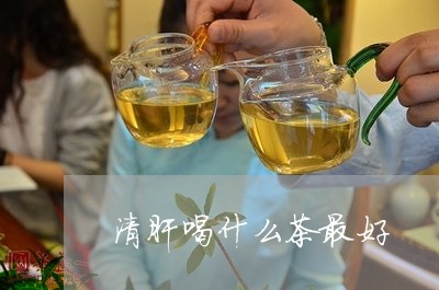 清肝喝什么茶最好/2023032342824