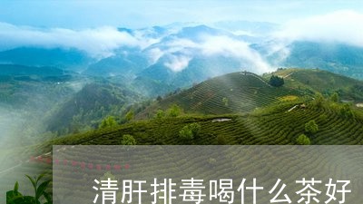 清肝排毒喝什么茶好/2023041515140