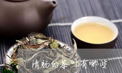 清肠的茶叶有哪些/2023032534047