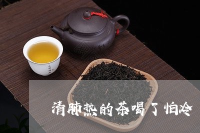 清肺热的茶喝了怕冷/2023031835949