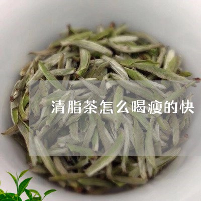 清脂茶怎么喝瘦的快/2023041439471