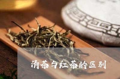 清茶与红茶的区别/2023032593838