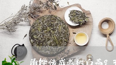 清铧传成老树白茶9338/2023033129291