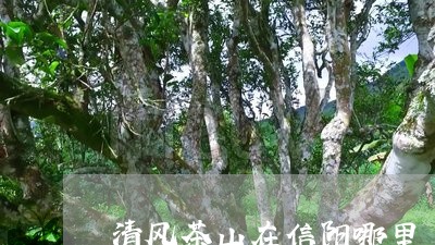 清风茶山在信阳哪里/2023041636269