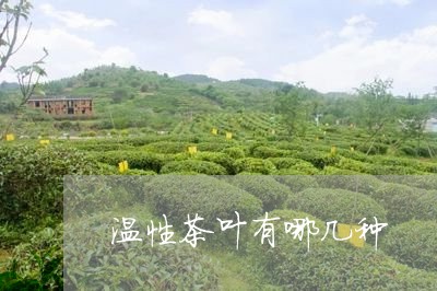 温性茶叶有哪几种/2023032518261