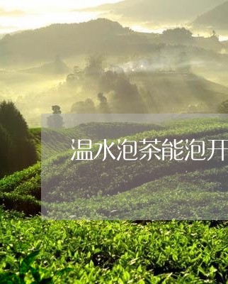 温水泡茶能泡开吗/2023032563737