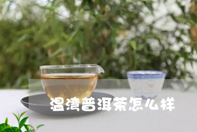 温湾普洱茶怎么样/2023033147270