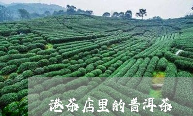 港茶店里的普洱茶/2023040167149