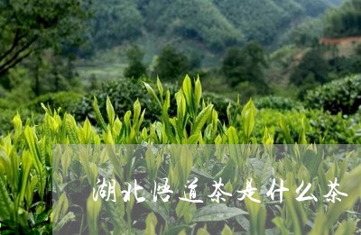 湖北悟道茶是什么茶/2023041587159