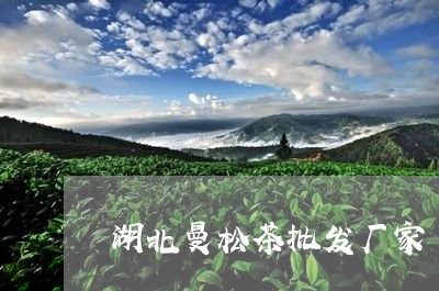 湖北曼松茶批发厂家/2023041471402