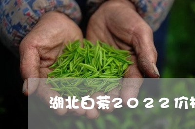 湖北白茶2022价格多少/2023033077281