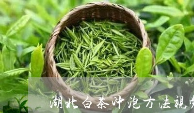 湖北白茶冲泡方法视频讲解/2023040917250