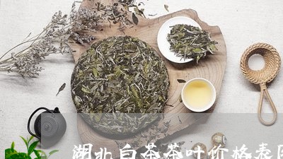 湖北白茶茶叶价格表图大全/2023040957270