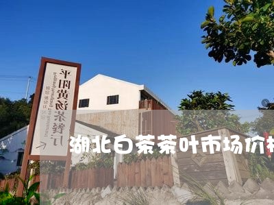 湖北白茶茶叶市场价格行情/2023040992814