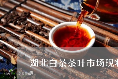 湖北白茶茶叶市场现状分析/2023040943946