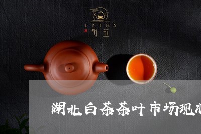 湖北白茶茶叶市场现状调查/2023040931825