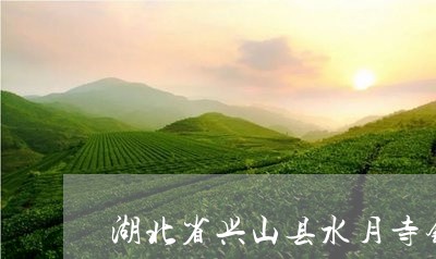 湖北省兴山县水月寺镇白茶/2023040910482