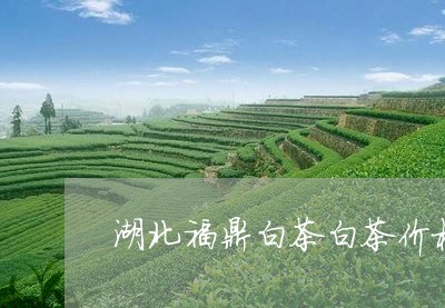 湖北福鼎白茶白茶价格查询/2023040936140