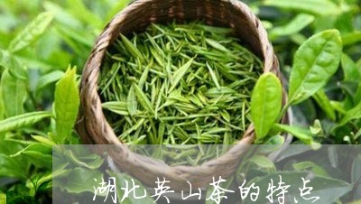 湖北英山茶的特点/2023032500501