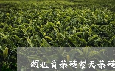 湖北青茶砖紫天茶砖/2023032082928