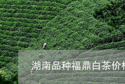 湖南品种福鼎白茶价格走势/2023041228482