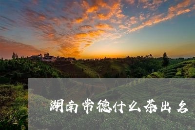 湖南常德什么茶出名/2023041535039