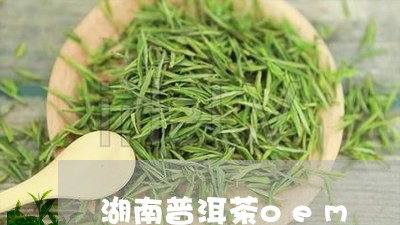 湖南普洱茶oem/2023041118359