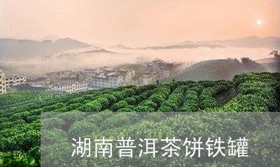 湖南普洱茶饼铁罐/2023040976048