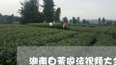 湖南白茶做法视频大全图片/2023041232017