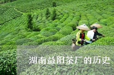 湖南益阳茶厂的历史/2023041679838