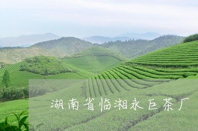 湖南省临湘永巨茶厂/2023032061794